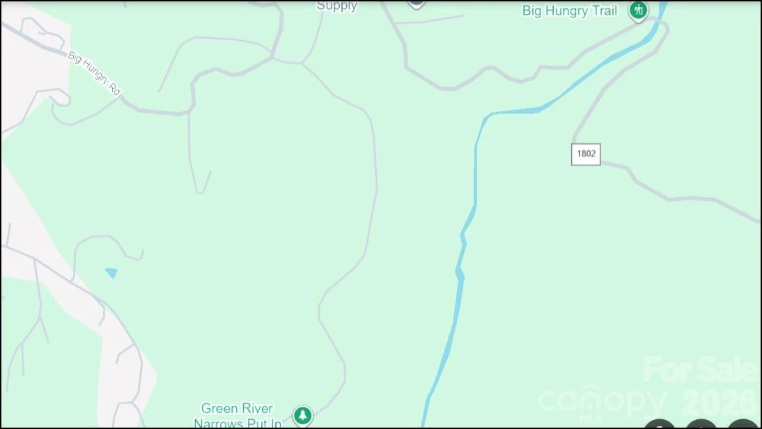 5.64 acres Big Hungry Road - Photo 15