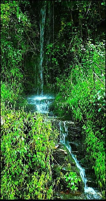 6.96 acres Big Hungry Road - Photo 11