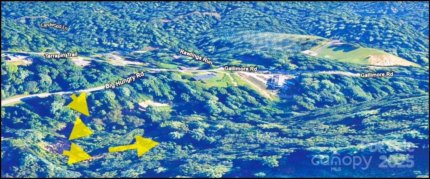 6.96 acres Big Hungry Road - Photo 3