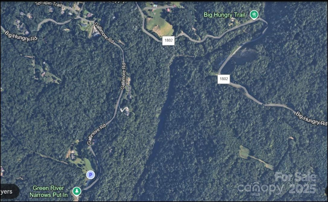 6.96 acres Big Hungry Road - Photo 7