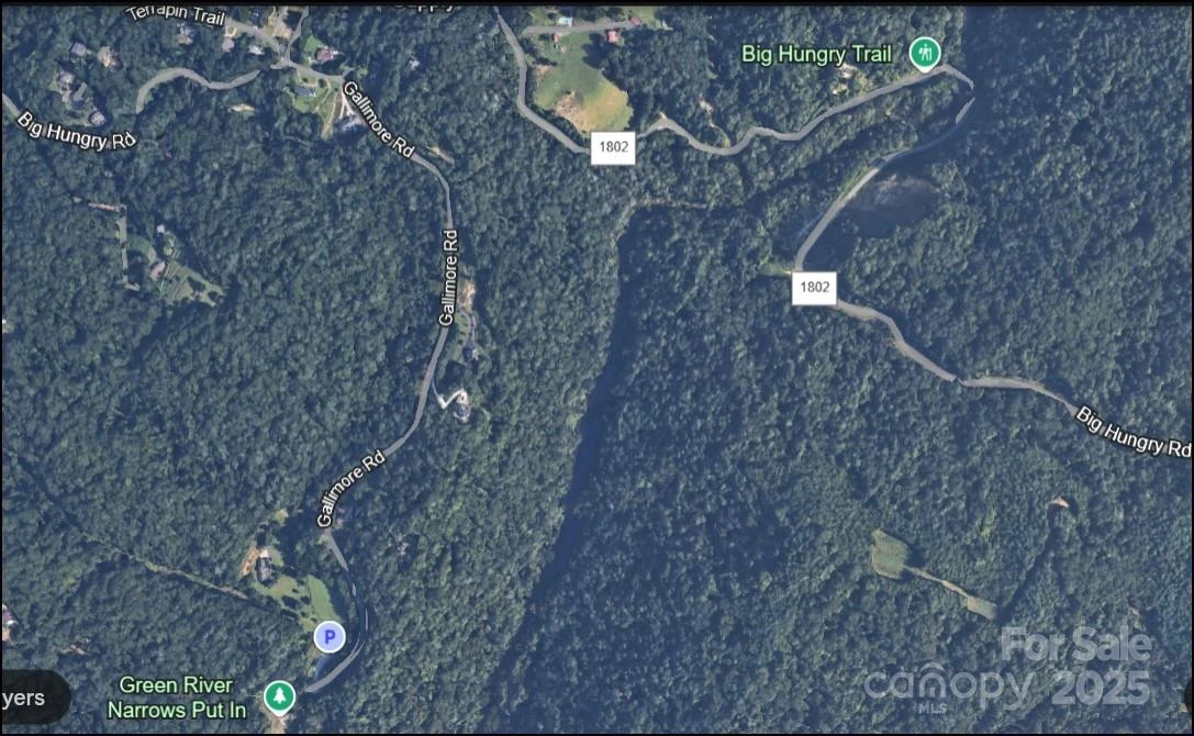 6.96 acres Big Hungry Road - Photo 7