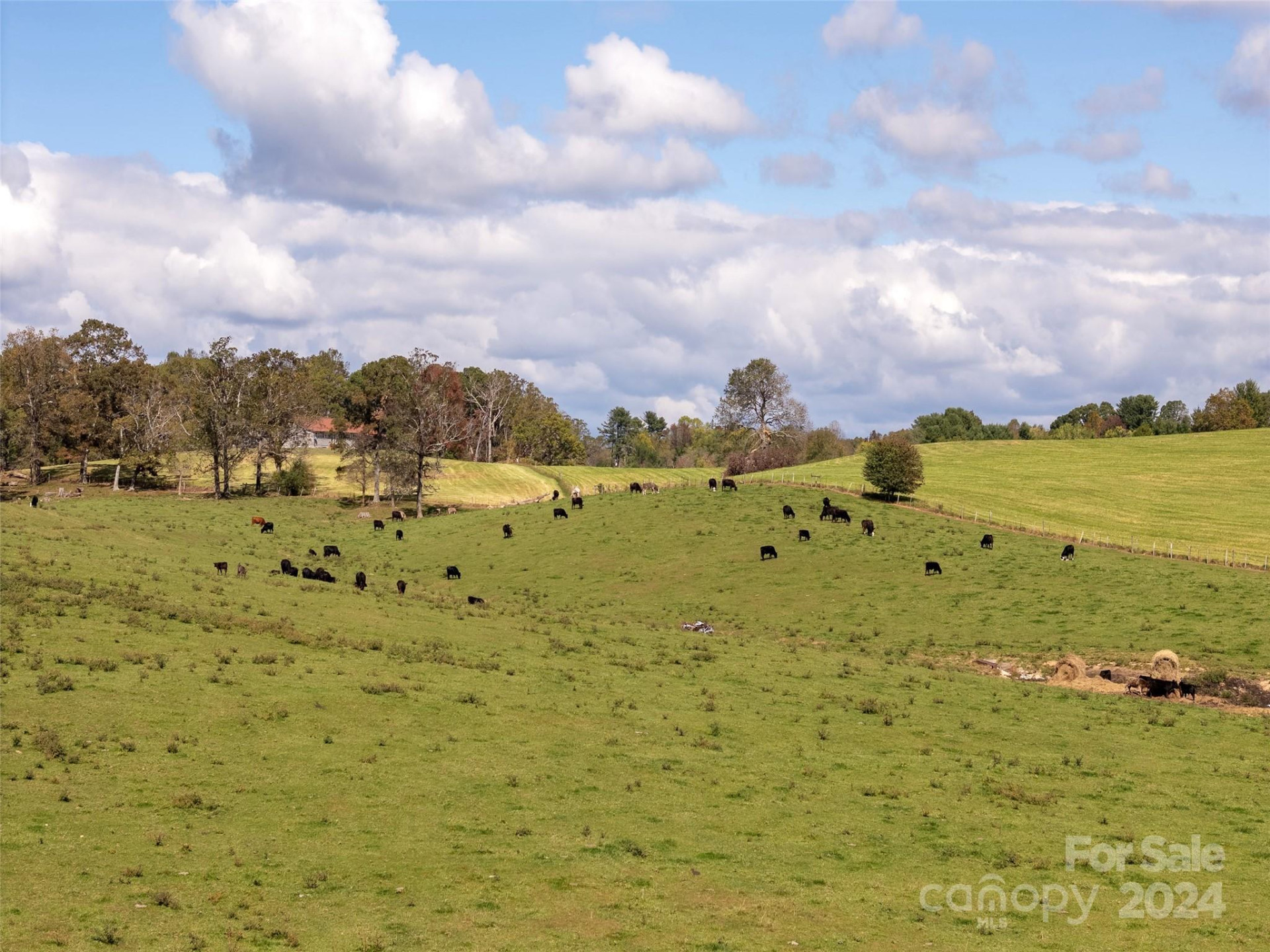 182 Mills River Road - Photo 13