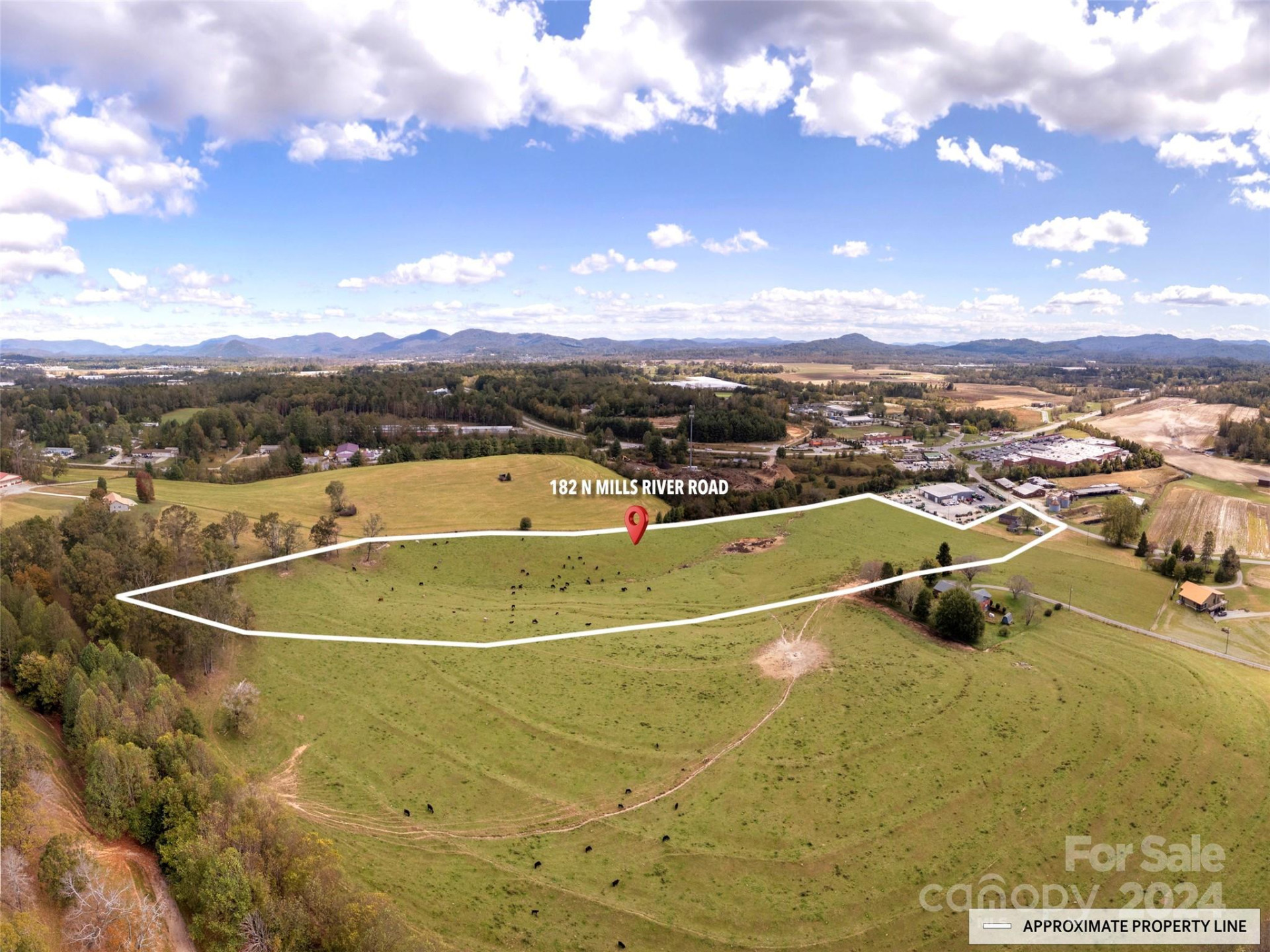182 Mills River Road - Photo 4