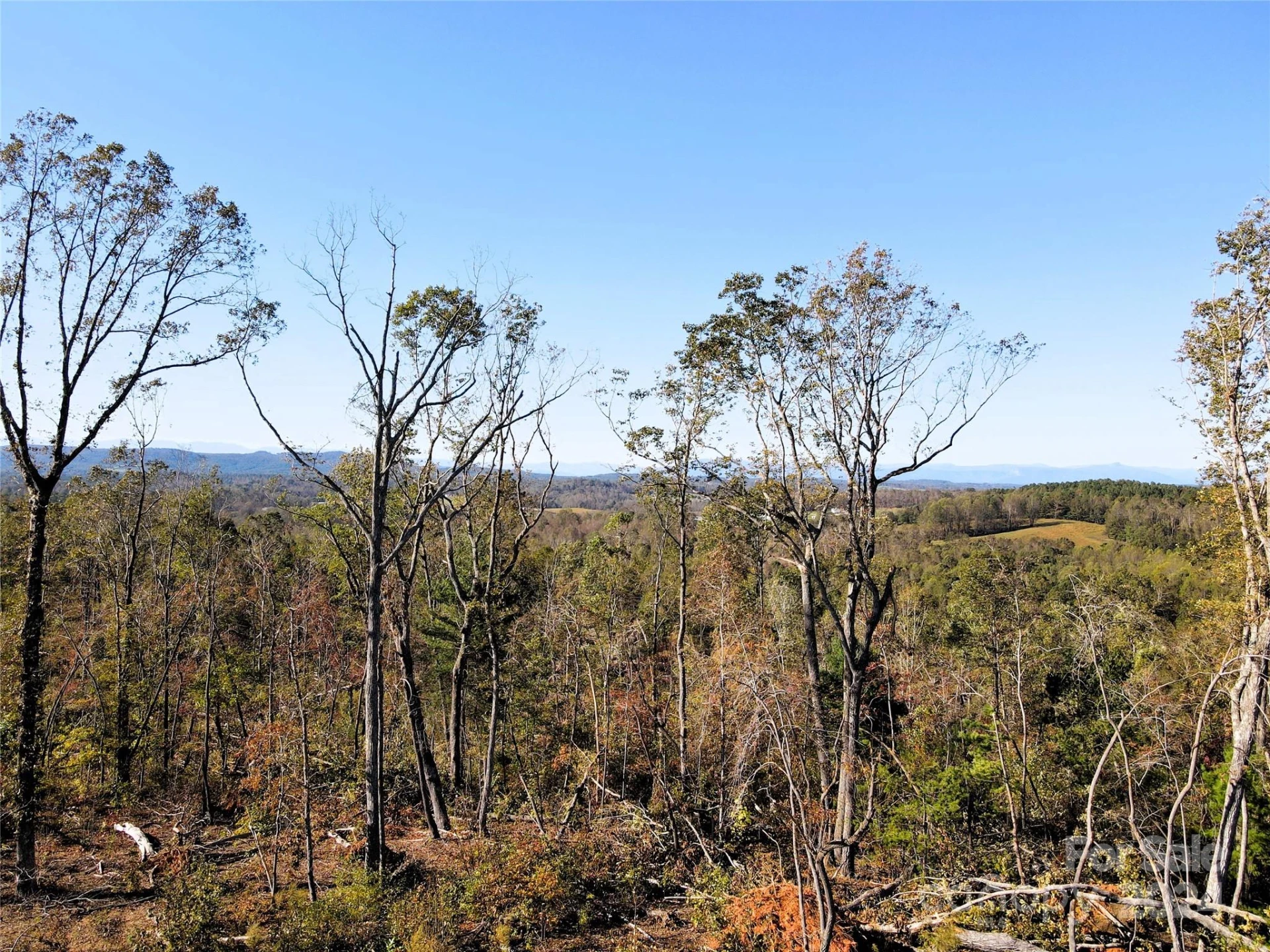 01 US 64 Highway - Photo 16