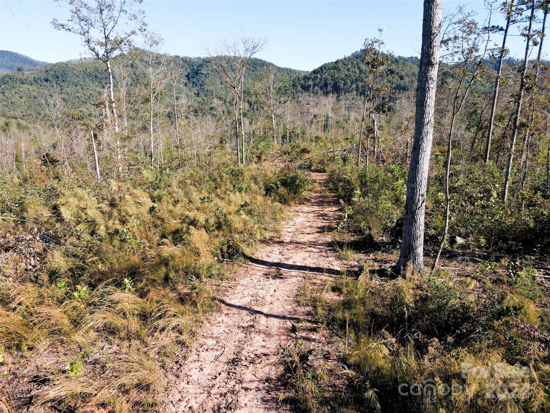 01 US 64 Highway - Photo 27