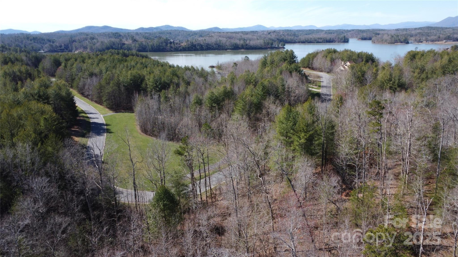 V/L Ridge Point Road #9 - Photo 15