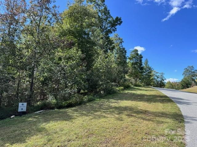 V/L Ridge Point Road #9 - Photo 3