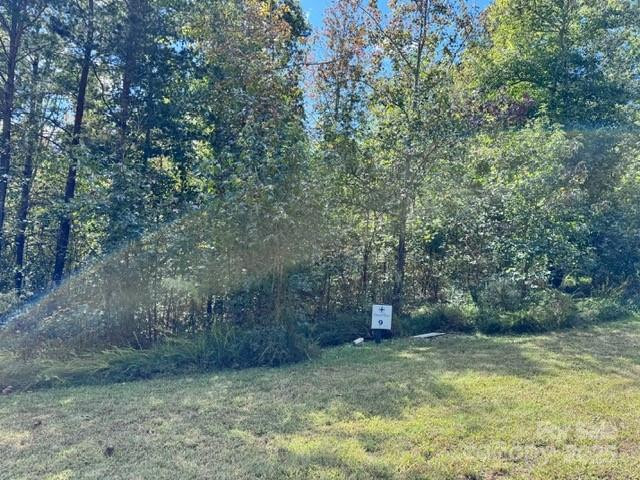 V/L Ridge Point Road #9 - Photo 4