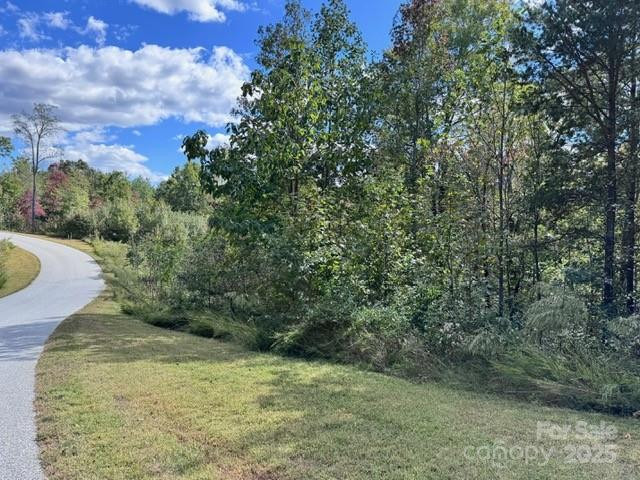 V/L Ridge Point Road #9 - Photo 5