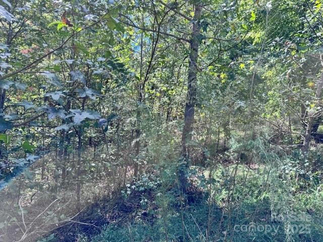 V/L Ridge Point Road #9 - Photo 7