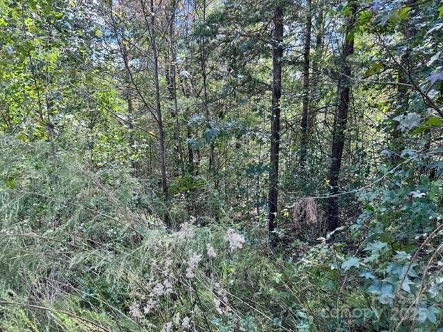 V/L Ridge Point Road #9 - Photo 8