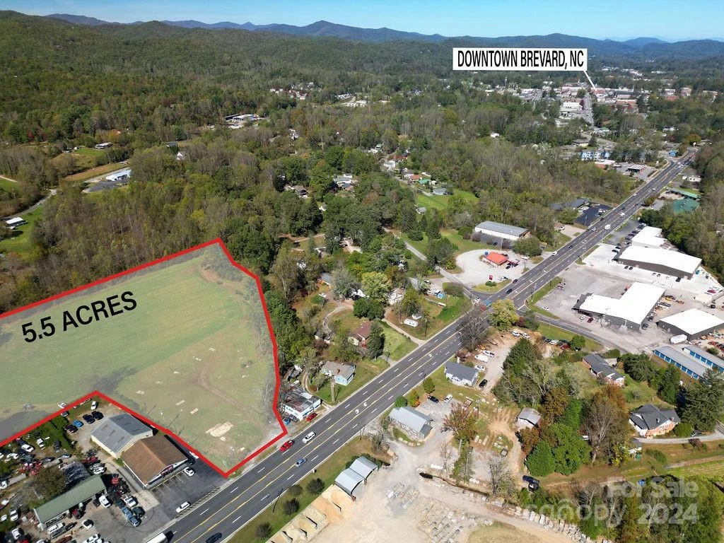 450 Rosman Highway - Photo 3