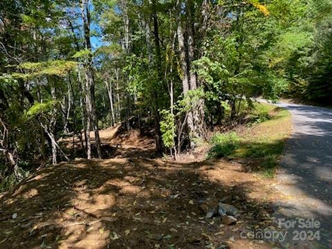 Lot G-43 Odalu Trail #G43 - Photo 2