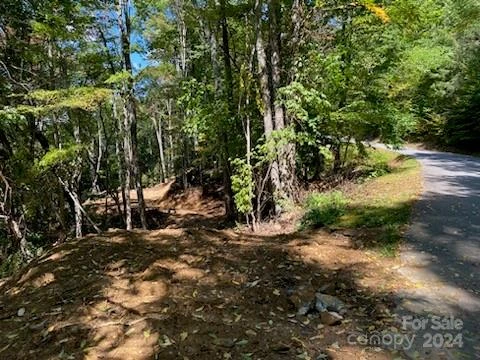 Lot G-43 Odalu Trail #G43 - Photo 2