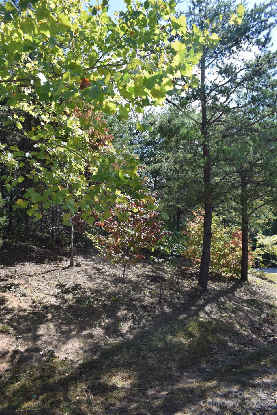 0 Holland Drive #3 - Photo 11