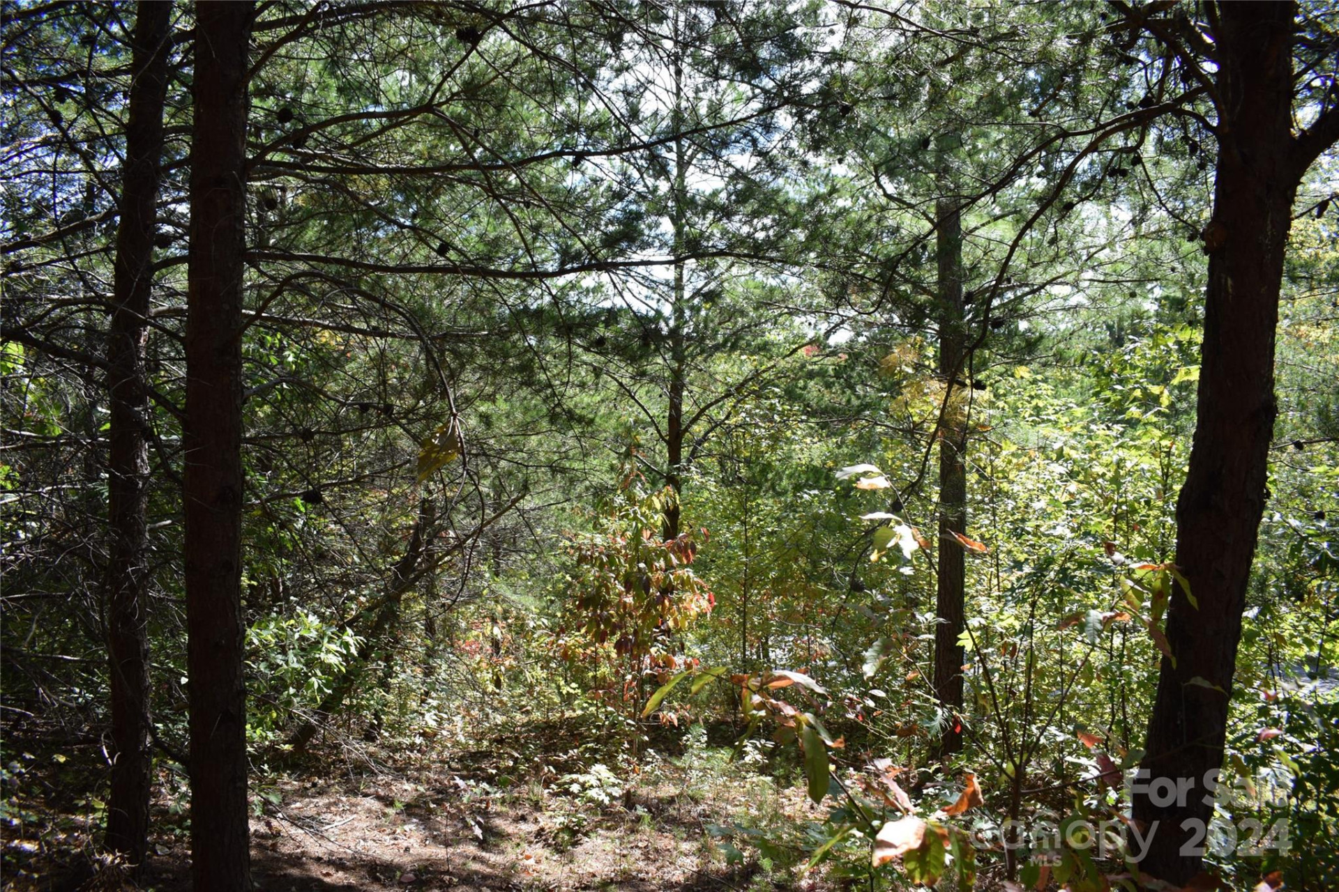 0 Holland Drive #3 - Photo 12