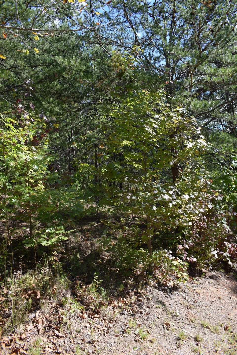 0 Holland Drive #3 - Photo 14