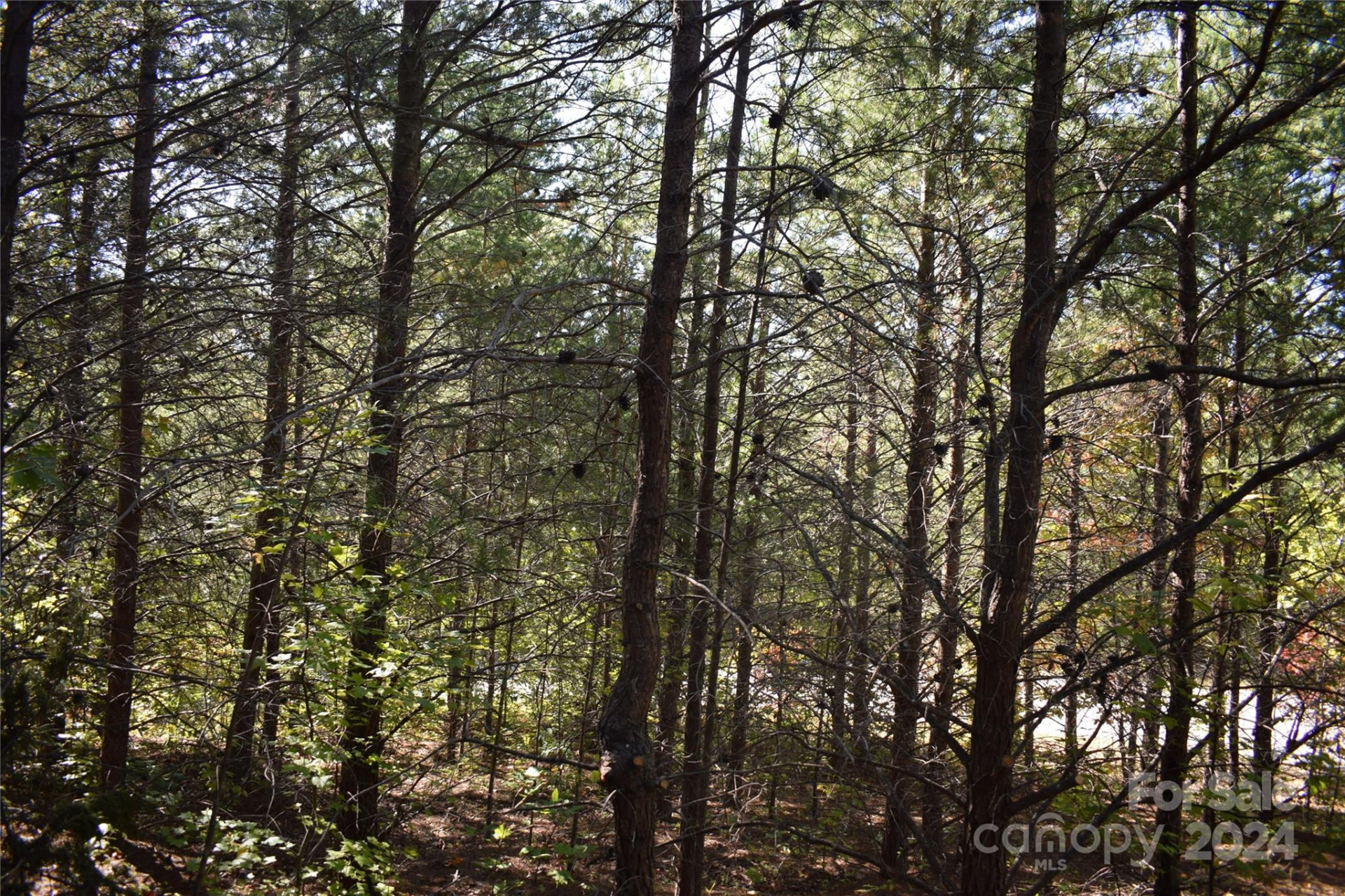 0 Holland Drive #3 - Photo 15