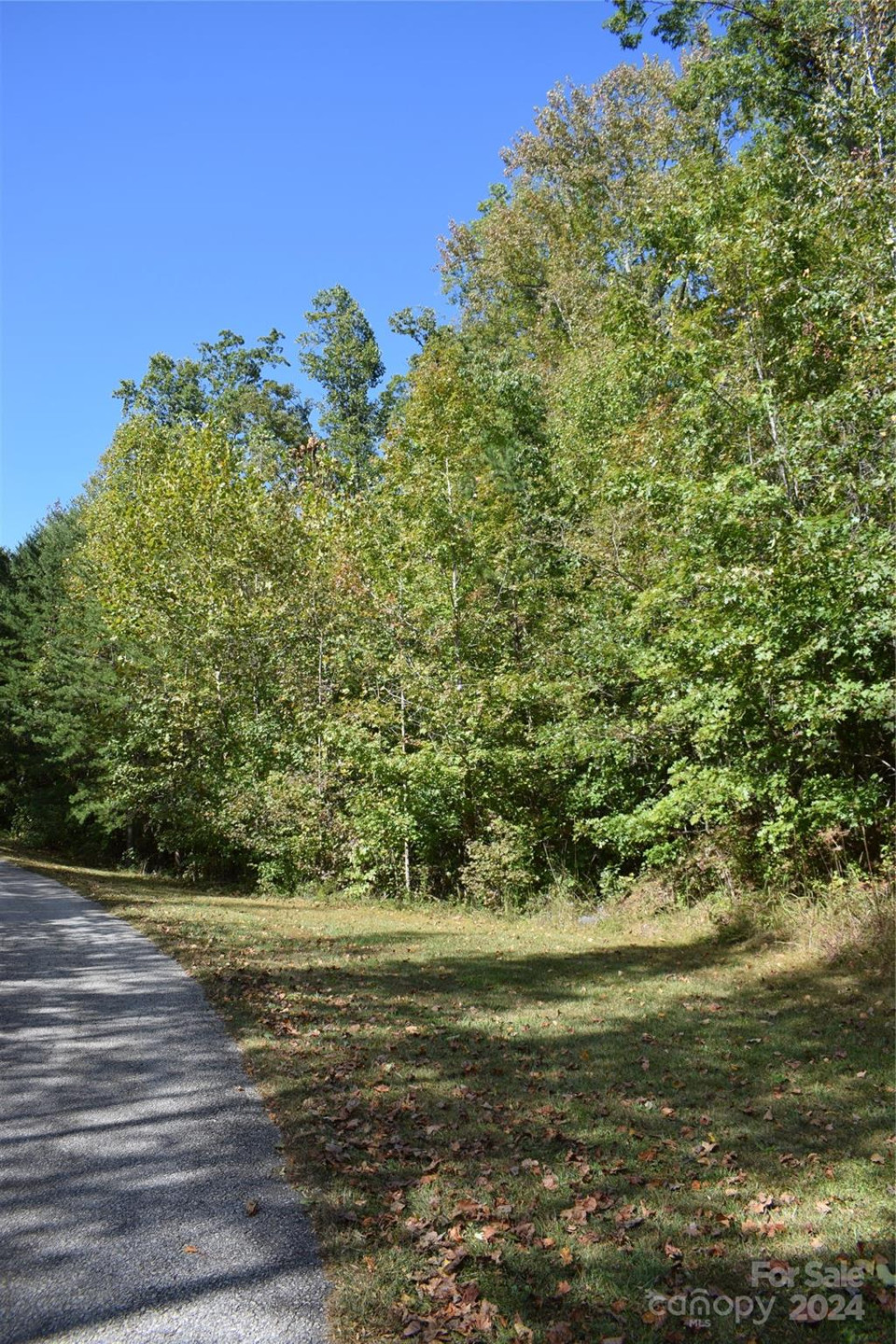 0 Holland Drive #3 - Photo 3