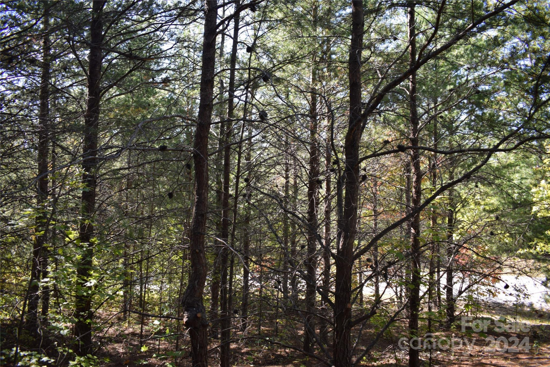 0 Holland Drive #3 - Photo 4