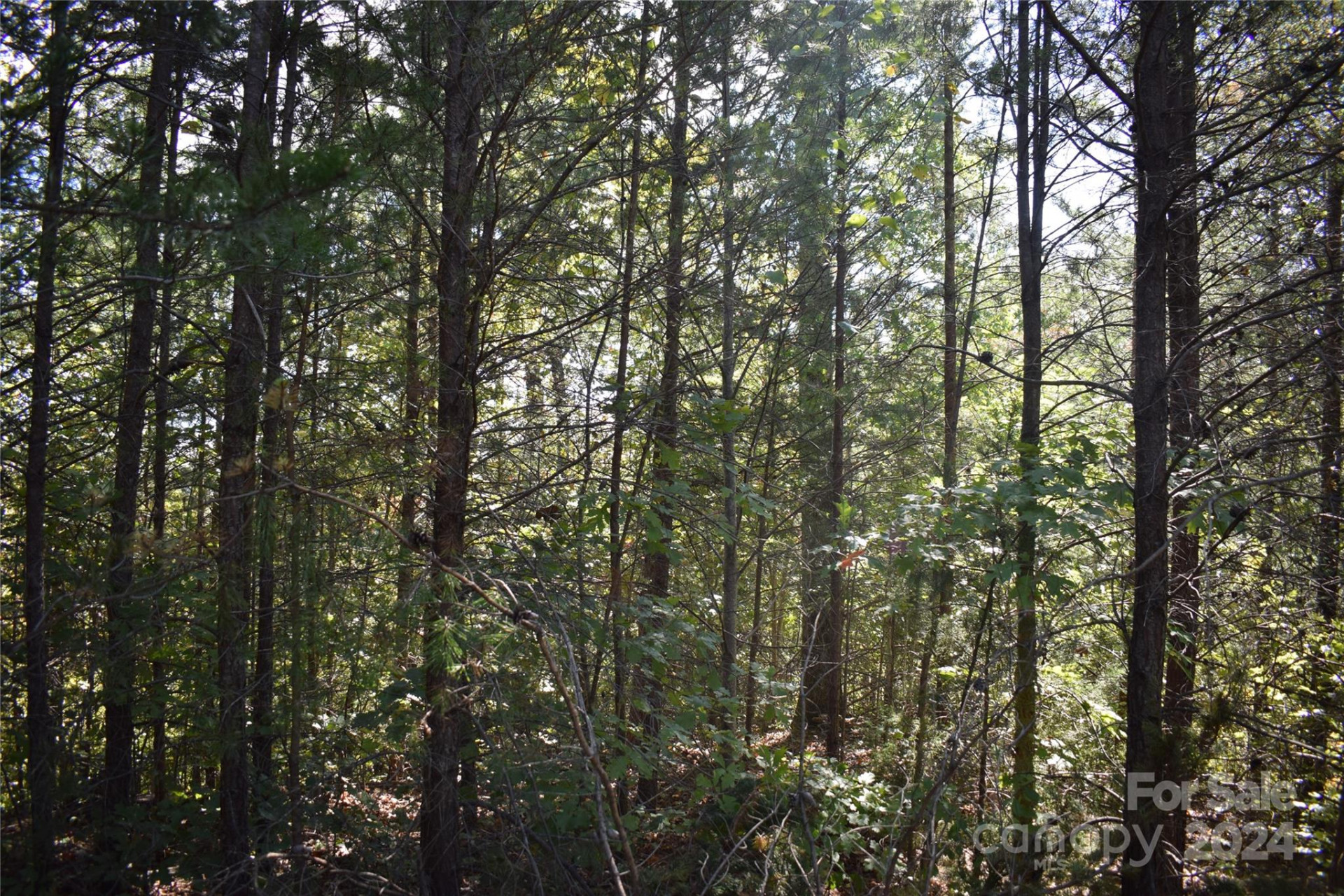 0 Holland Drive #3 - Photo 6