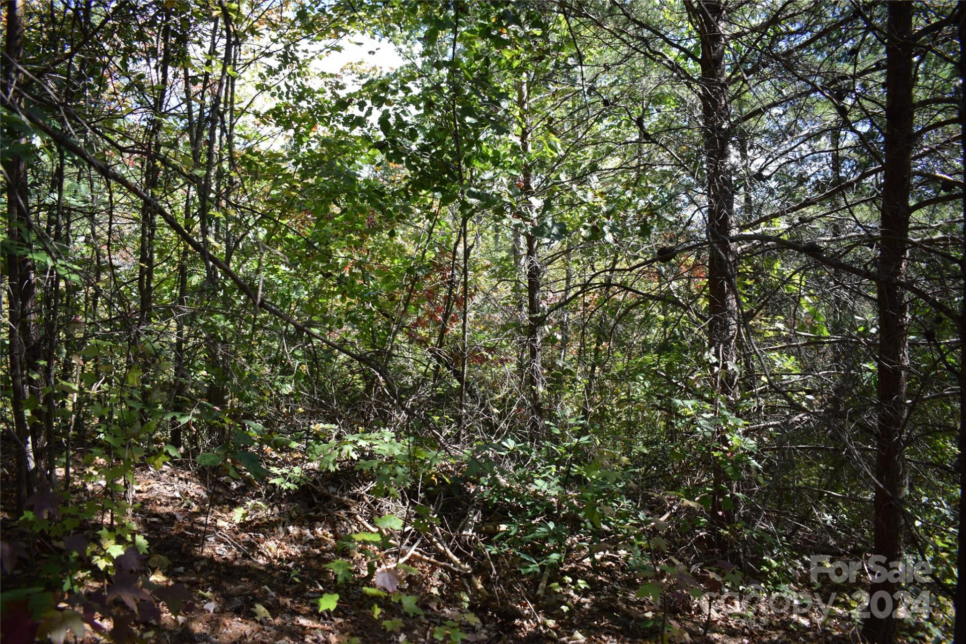 0 Holland Drive #3 - Photo 9