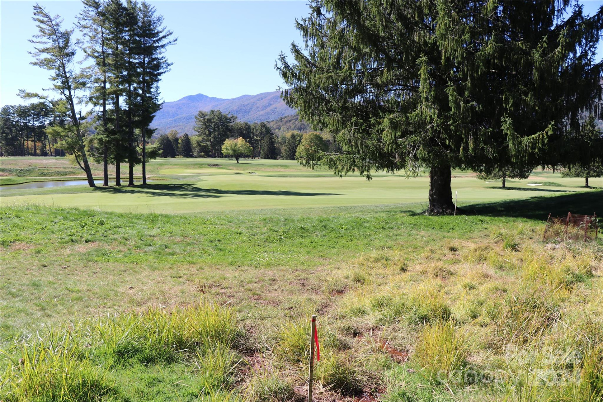 00 Longview Drive #8 - Photo 6