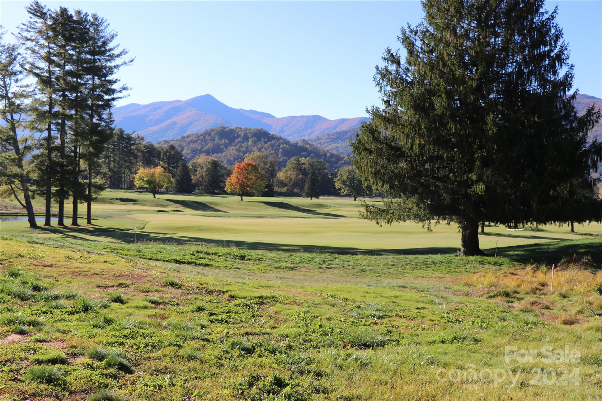 00 Longview Drive #8 - Photo 7