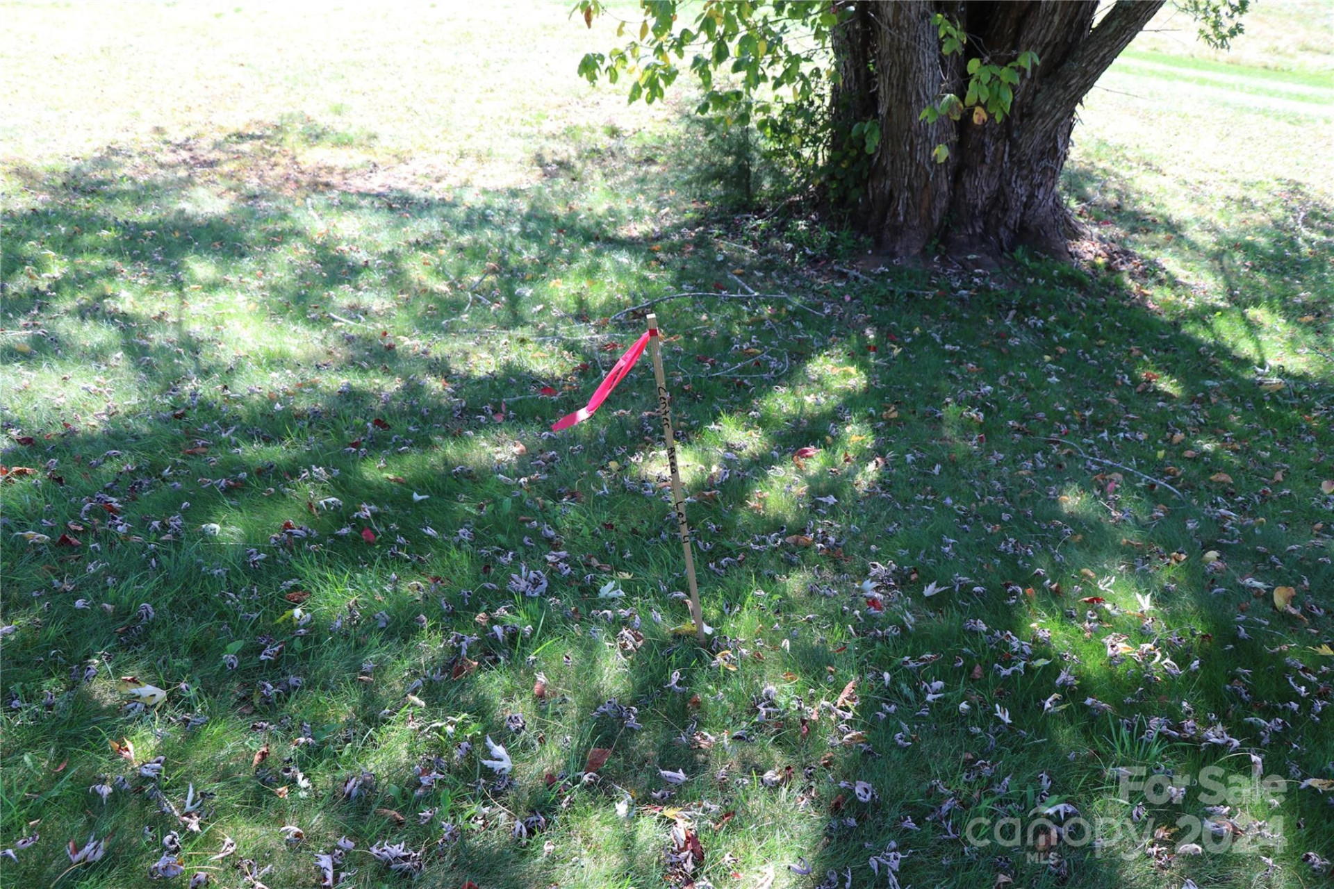 00 Greenview Drive #2 - Photo 3