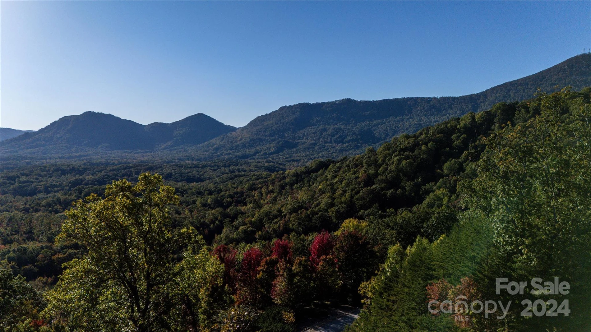 TBD (Lot 9) Holland Drive - Photo 2
