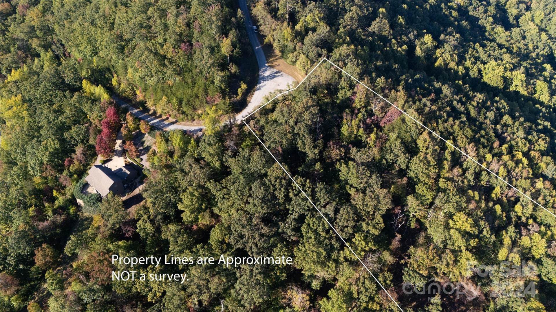 TBD (Lot 9) Holland Drive - Photo 6