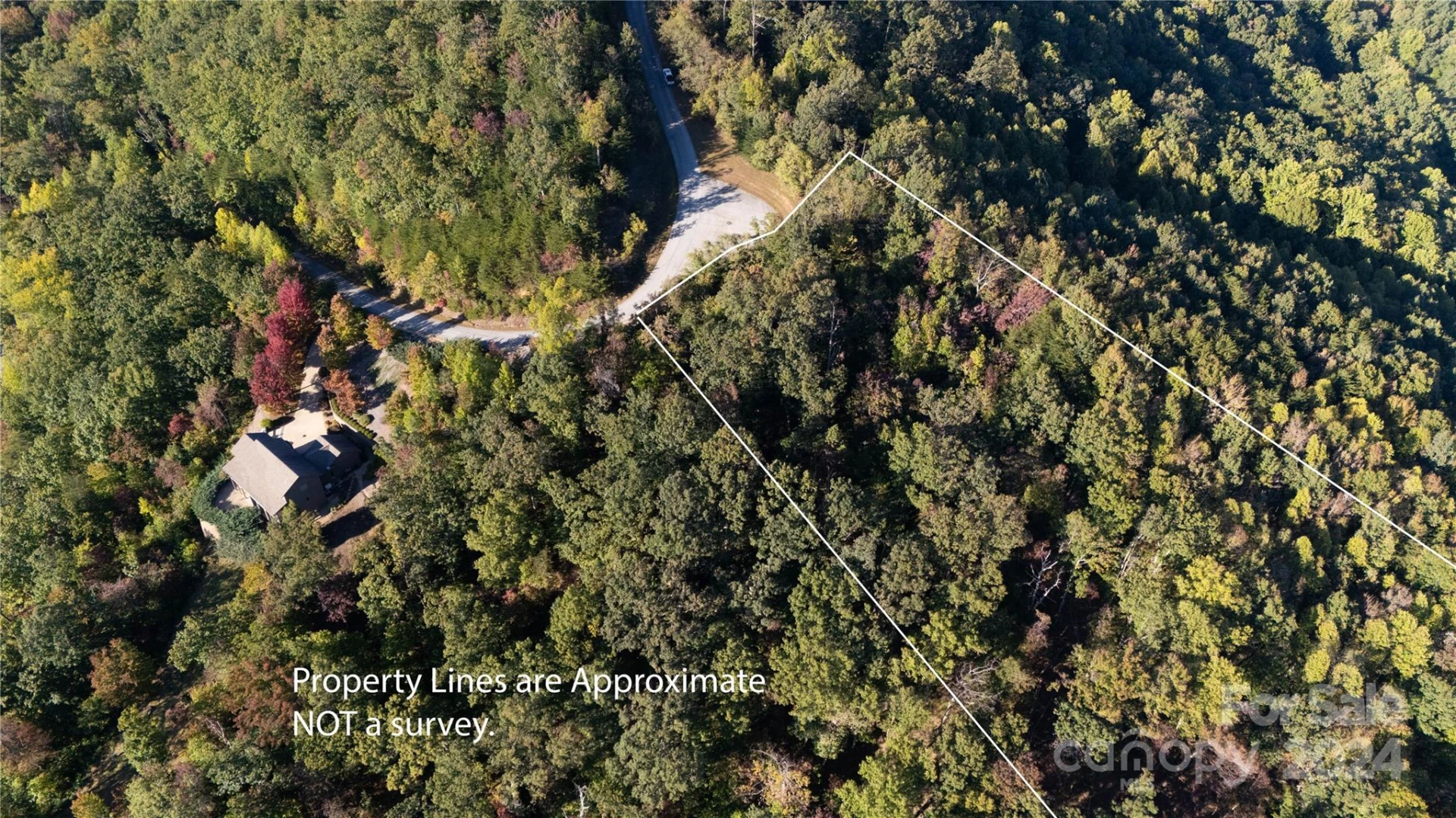 TBD (Lot 9) Holland Drive - Photo 6