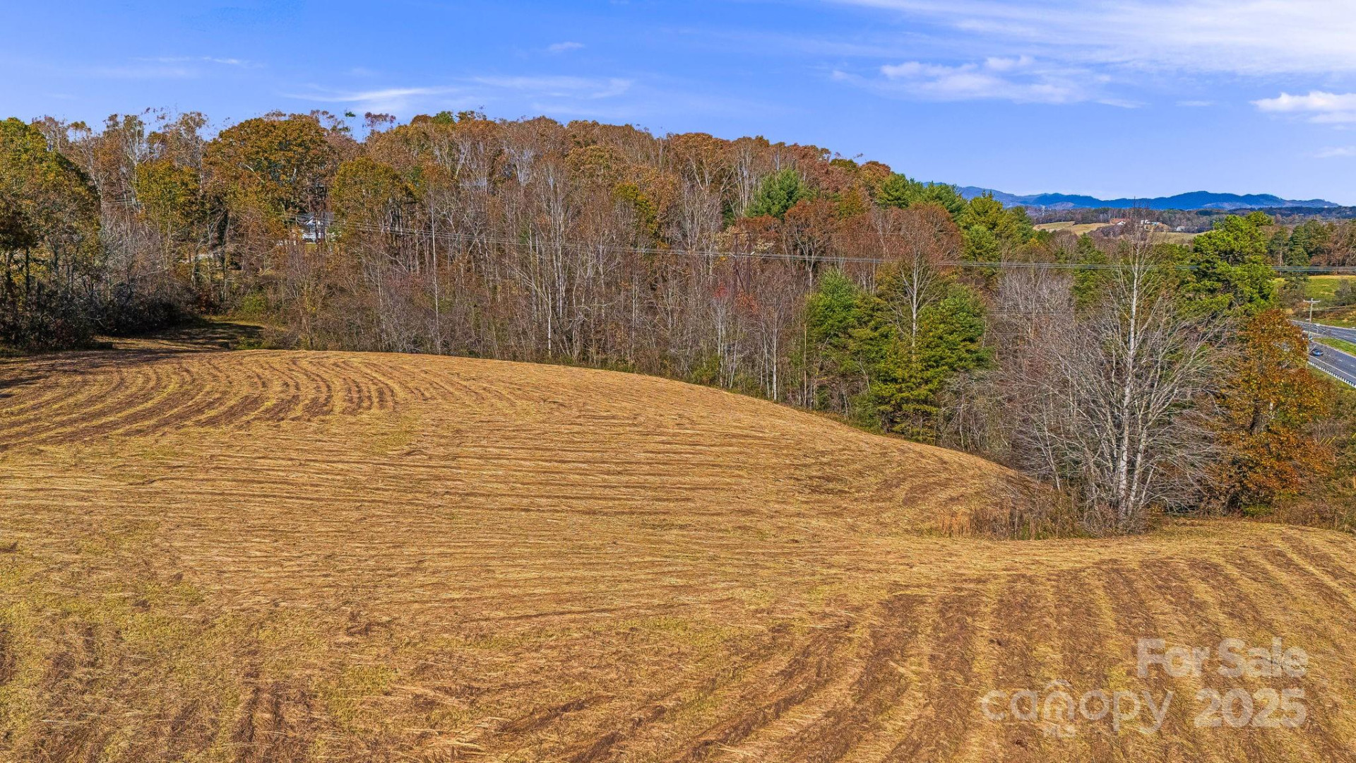 99999 New Leicester Highway - Photo 8