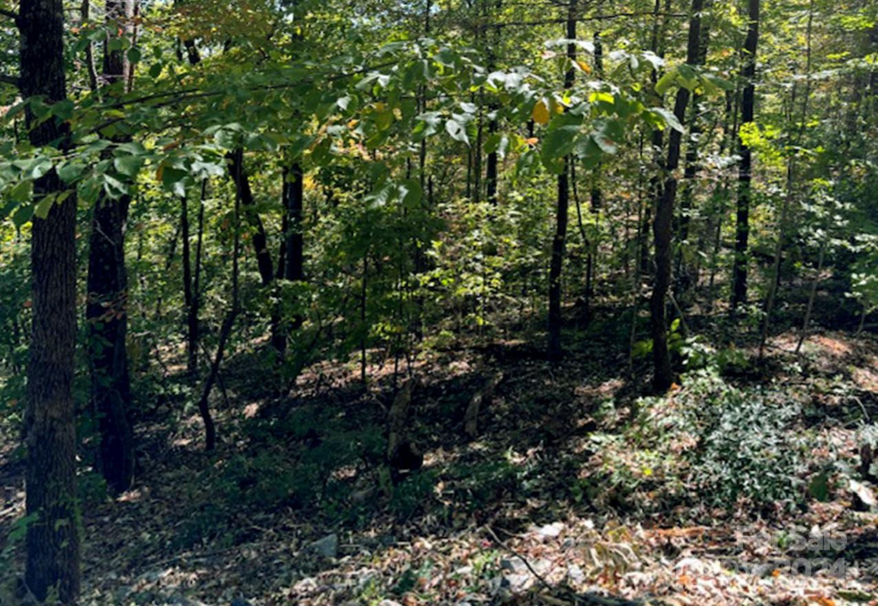 0 Hickory Nut Lane #393, #419 - Photo 11