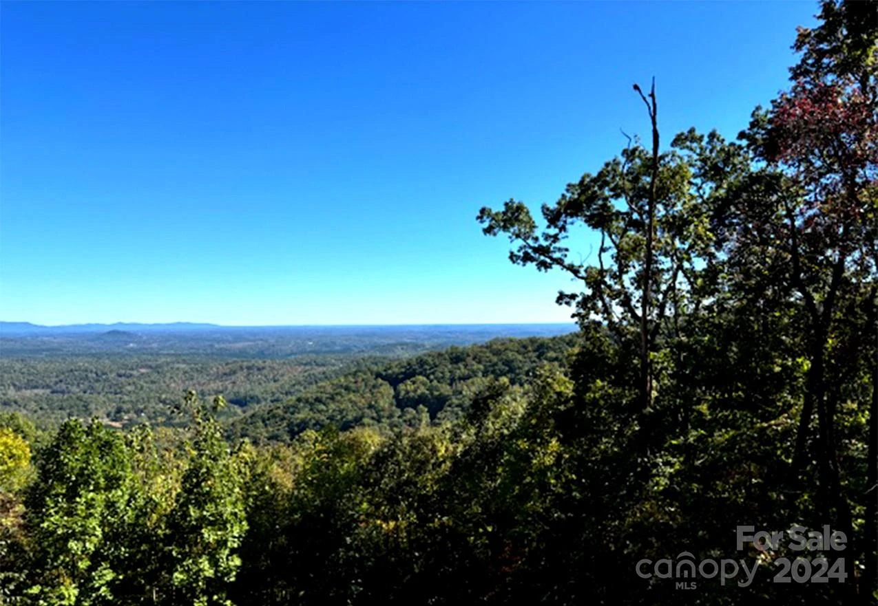 0 Hickory Nut Lane #393, #419 - Photo 3