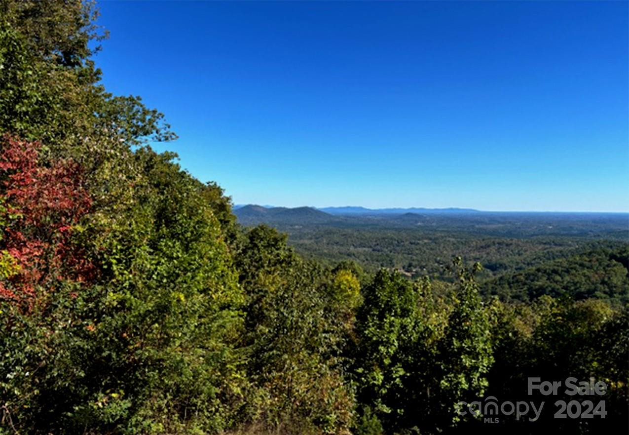 0 Hickory Nut Lane #393, #419 - Photo 4