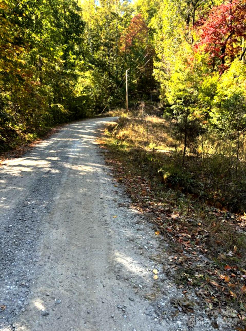 0 Hickory Nut Lane #393, #419 - Photo 7