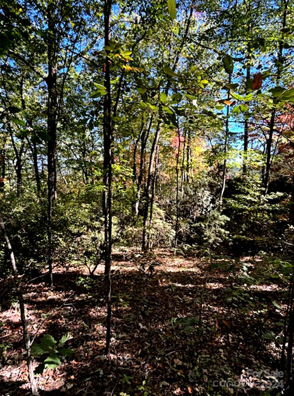 0 Hickory Nut Lane #393, #419 - Photo 8