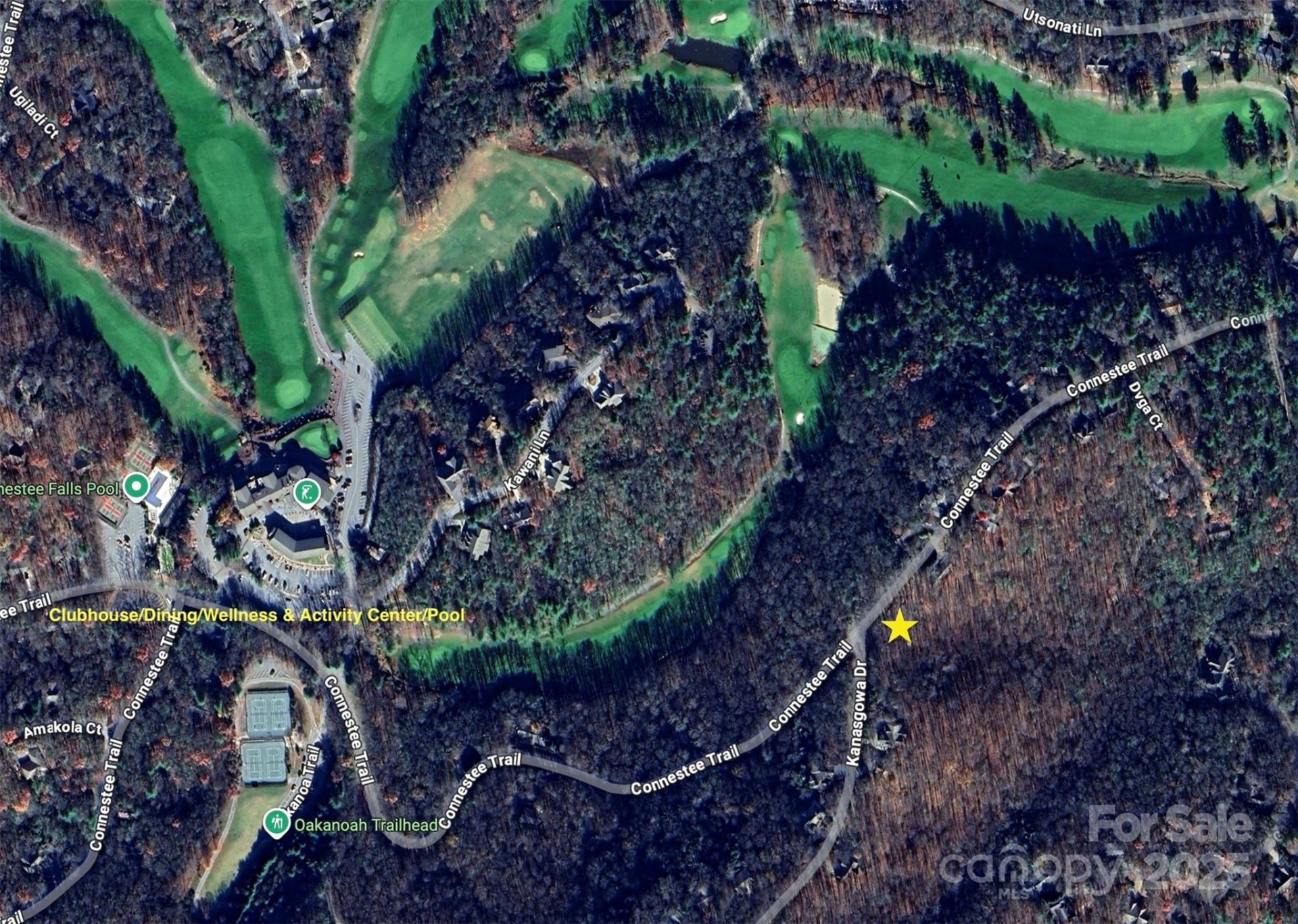 U09 L046 Connestee Trail - Photo 2