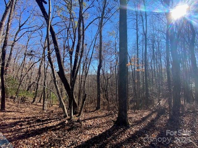 U09 L046 Connestee Trail - Photo 3