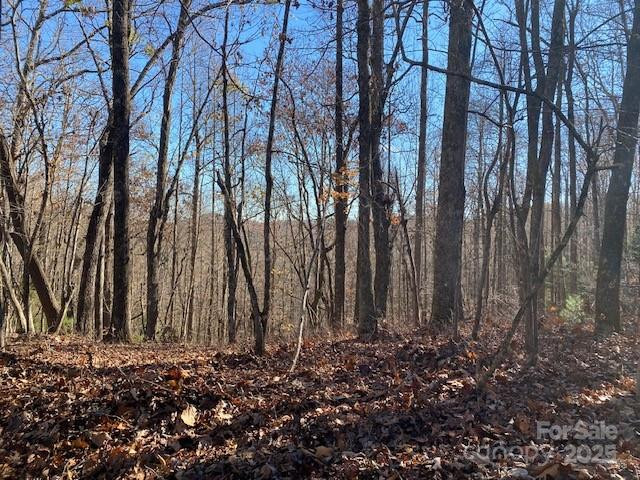 U09 L046 Connestee Trail - Photo 5