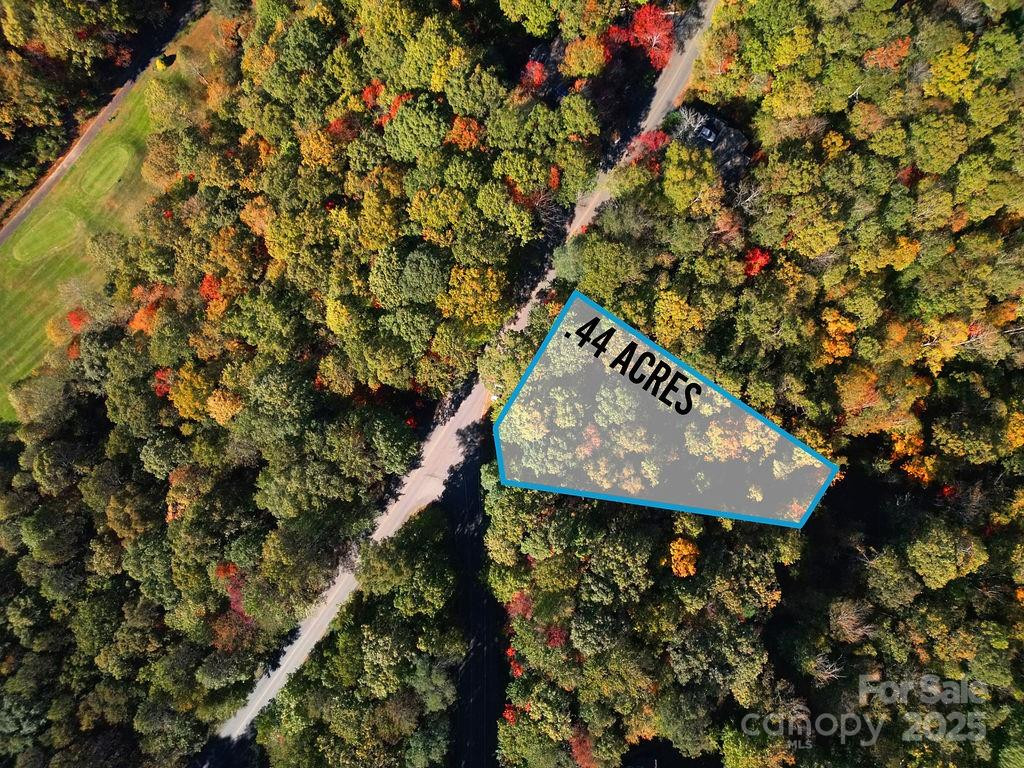 U09 L046 Connestee Trail - Photo 6