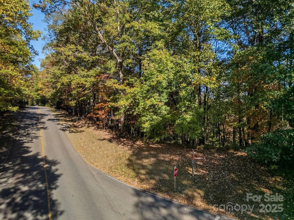 U09 L046 Connestee Trail - Photo 7