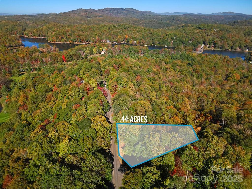 U09 L046 Connestee Trail - Photo 9