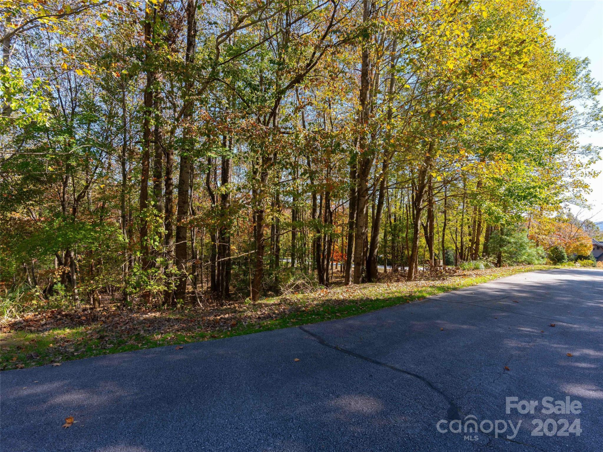 308 Piney Knoll Lane #189 - Photo 11