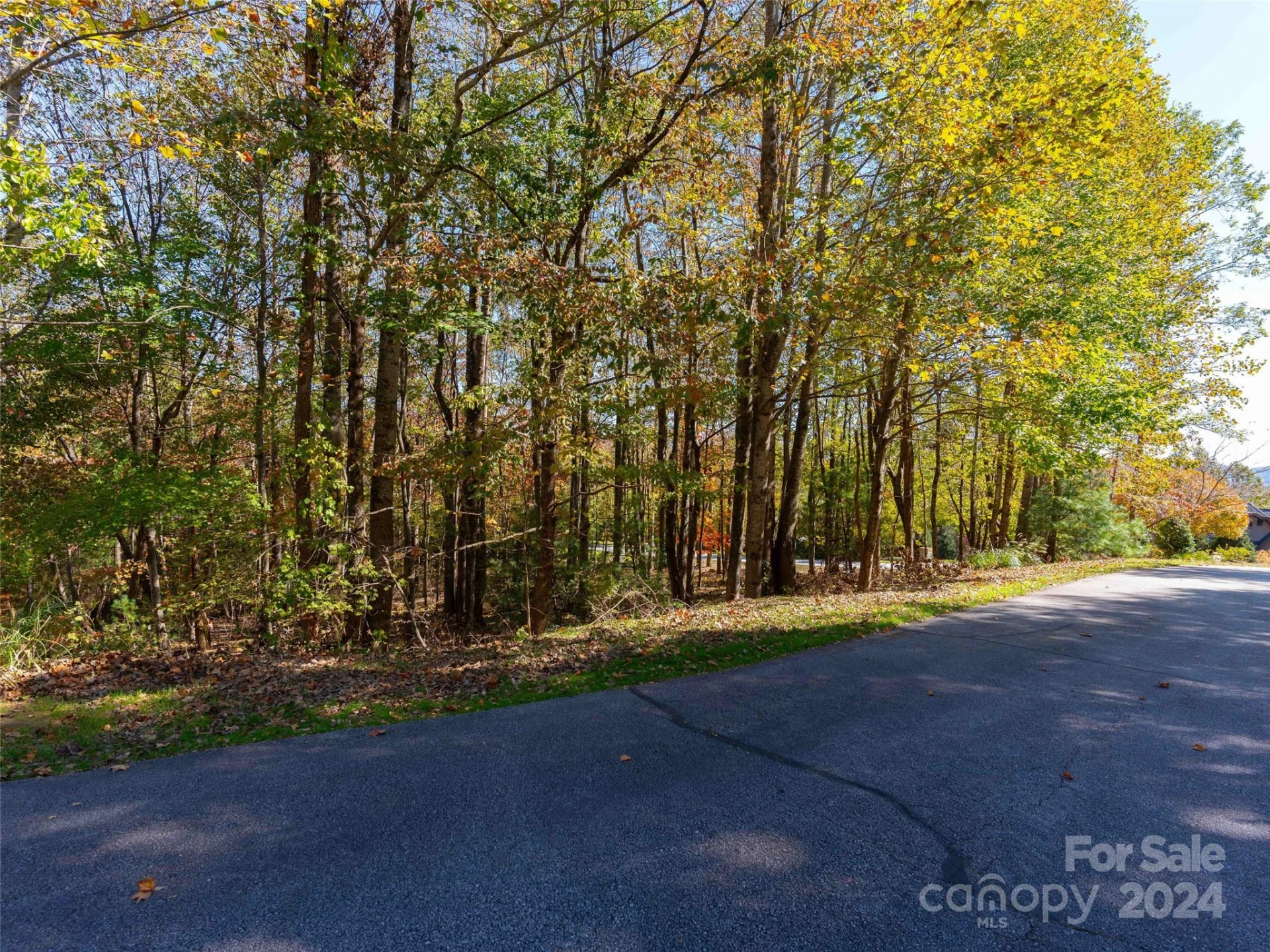 308 Piney Knoll Lane #189 - Photo 11