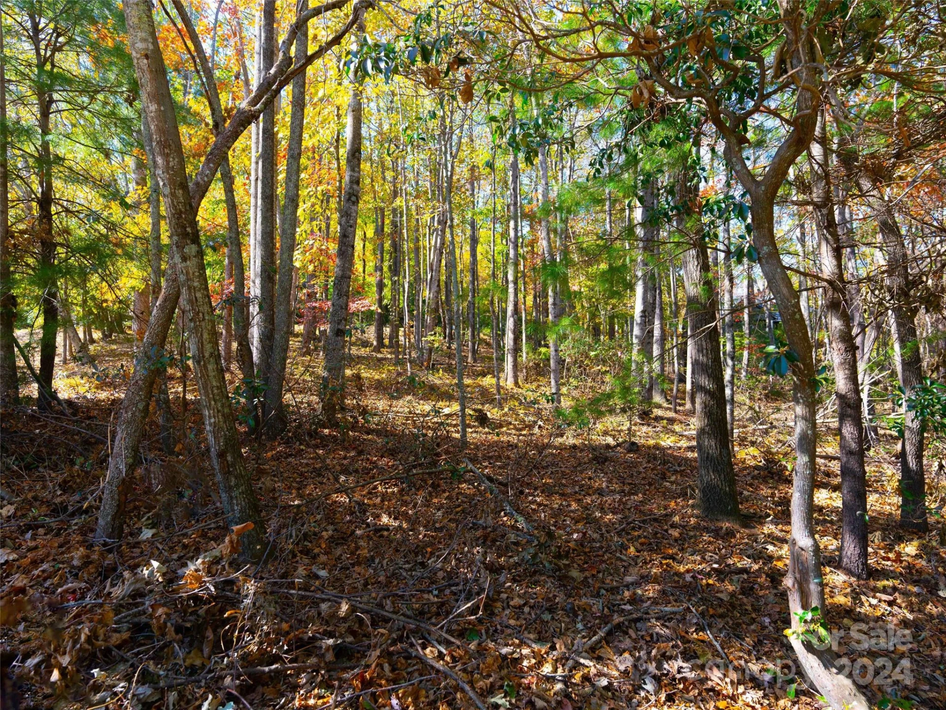 308 Piney Knoll Lane #189 - Photo 5