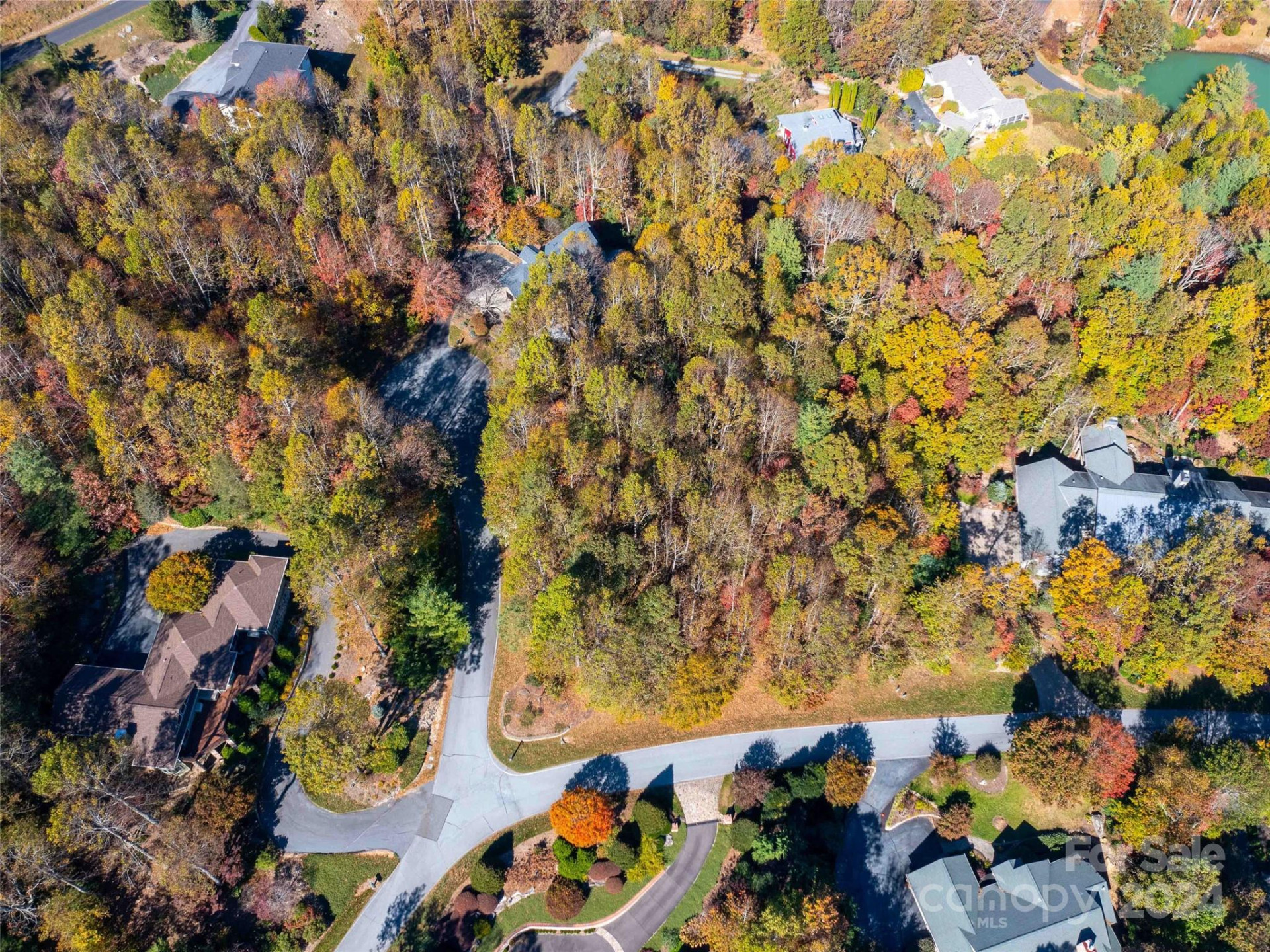 308 Piney Knoll Lane #189 - Photo 8