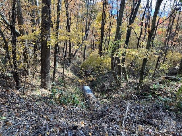 00 Wahwah Way #17 - Photo 5