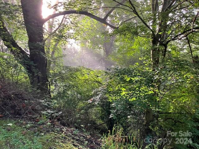 00 Wahwah Way #17 - Photo 7